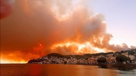 Marmaris'te orman yangını! Bakan Kirişci: Yangın büyük ölçüde kontrol altında