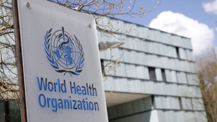 Organizata Botërore e Shëndetësisë: Lija e majmunëve nuk është ende një emergjencë shëndetësore globale