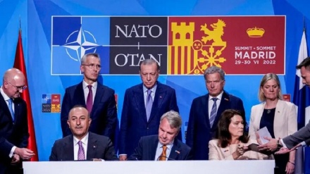 Türkiye'nin İsveç ve Finlandiya'nın NATO'ya üyeliğine onayı