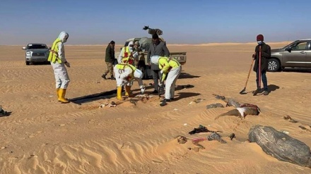 UN yagundua makaburi mengine ya umati nchini Libya