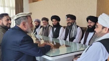 بازگشت ۷ نفر از شخصیت‌های علمی به افغانستان