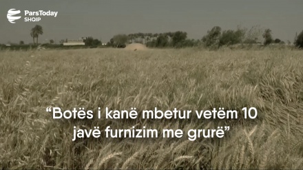 “Botës i kanë mbetur vetëm 10 javë furnizim me grurë”