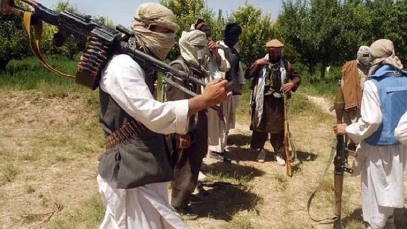 بررسی موضوع مذاکرات پاکستان با گروه تحریک طالبان این کشور