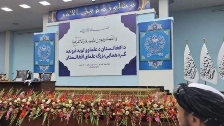 نشست بزرگ علما در کابل آغاز شد
