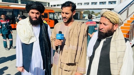 بازگشت حسیب الله کلیمزی ،معاون مجلس سنا در حکومت پیشین به افغانستان