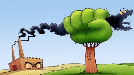 Бидуни шарҳ!