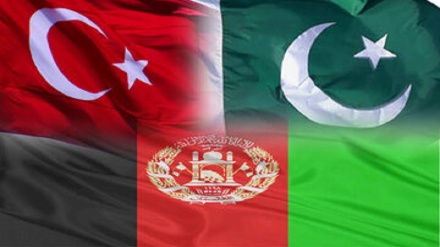 تحولات افغانستان؛ محور گفتگوی وزرای خارجه پاکستان و ترکیه