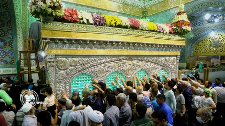 इमाम रज़ा का शुभ जन्म दिवस, सुन्दर फूलों से सजाया गया रौज़ा+ वीडियो+ फ़ोटोज़