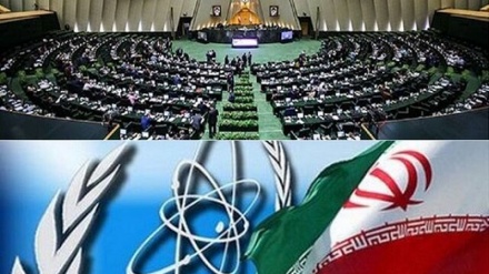 Meclis temsilcisi: İran, UAEA'nın kararnamesi konusunda sessiz kalmayacak