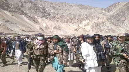 نگرانی شورای علمای شیعه افغانستان از گسترش جنگ در بلخاب