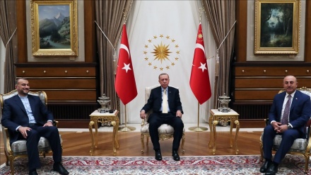 İran Dışişleri Bakanı Türkiye Cumhurbaşkanı Recep Tayyip Erdoğan ile görüştü