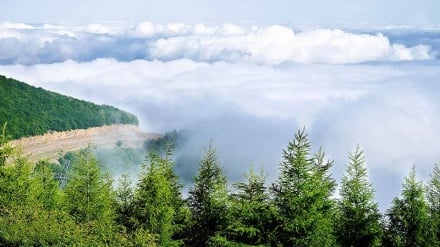 Эрон бўйлаб саёҳат (61)