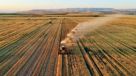 Türkiye tarım yapmak için 10 ülkeden arazi kiralayacak
