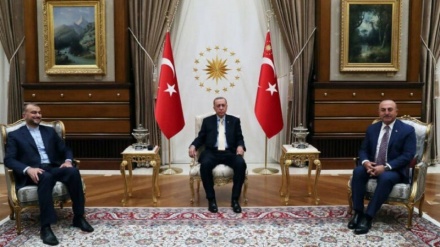 Ministri i Jashtëm iranian në takim me Erdogan: Pasiguria dhe tensioni rezultati i vetëm i aktiviteteve izraelite në rajon