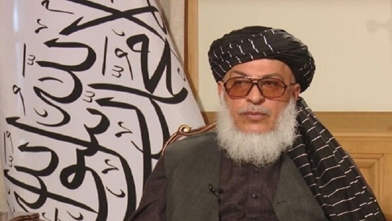 یک مقام ارشد طالبان اختلاف میان رهبران این گروه را رد کرد