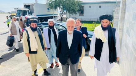 «هدایت امین ارسلا» وزیر  مالیه سابق هم به کابل بازگشت 