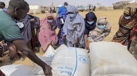 Fao, crisi cibo minaccia stabilità Paesi 