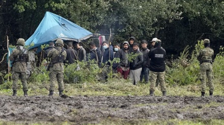 Тайное убийство десятков иракских беженцев в Польше