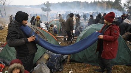 Vrasja e fshehtë e dhjetëra refugjatëve irakianë në Poloni