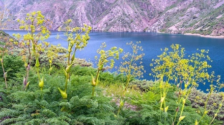 Danau Gahar, Salah Satu Danau Terindah di Iran (1)