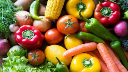 Climate-friendly diets can make a huge difference – even if you don’t go all-out vegan