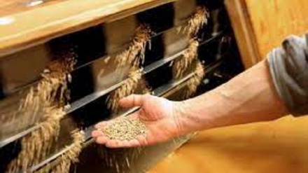 Media: Mosca concorda con Kiev e Ankara un 'corridoio del grano'
