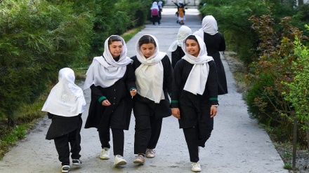 ارائه گزارش کمیته بازگشایی مکاتب دخترانه به رهبر طالبان 