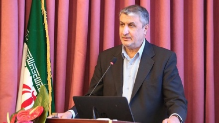 ראש ארגון לאנרגיה אטומית: 