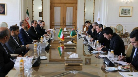 שר החוץ נועד עם מקבילו הטורקמני בטהרן