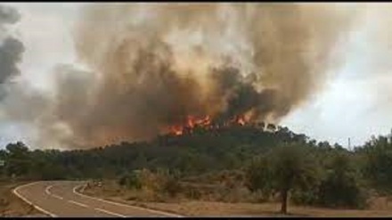 Incendi in 7 regioni della Spagna in piena ondata di caldo
