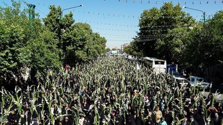 (FOTO) La fedeli in marcia per l'hazrat Masoumah (SA) - 1