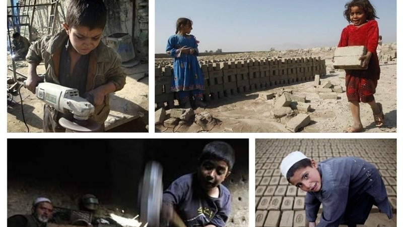 حل معضل کودکان کار افغانستان با کمک سازمان بین‌المللی کار