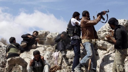 Syrie: les rats s'entre-tuent Plus d'articles