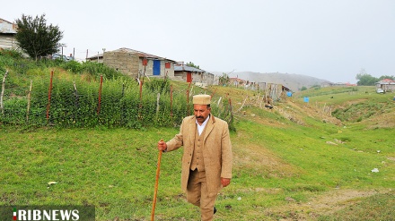Tolışi qıyəku bə zımhor kuçəkə toyfəon mədəni-ritual festival