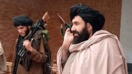  طالبان برای پنجشیر والی جدید تعیین کرد