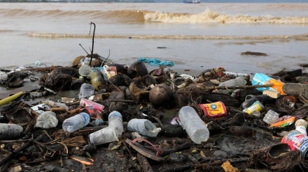 I virus sopravvivono sulle microplastiche
