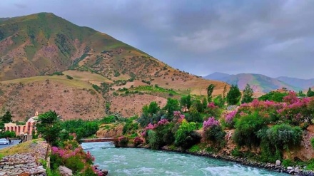 بهبود اوضاع امنیتی در ولسوالی های 
