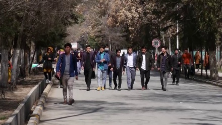 تاسیس مدارس جهادی و تغییر سرفصل دانشگاه‌ها در افغانستان 