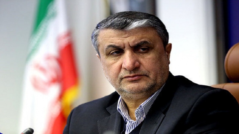 Mohammad Eslami, Kepala Organisasi Energi Atom Republik Islam Iran (AEOI)