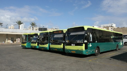 כ-12 אלף נהגי אוטובוס ישבתו לשעתיים בשישי ובשני