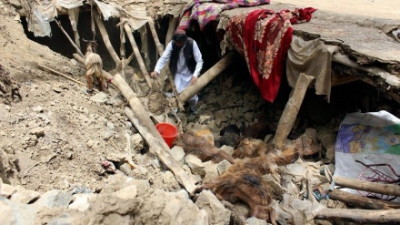 زلزله مرگ بار در جنوب شرق افغانستان