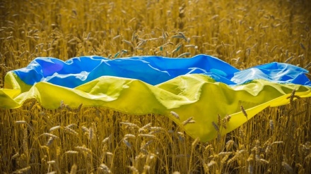 Grano, ministro Agricoltura di Ucraina in Polonia