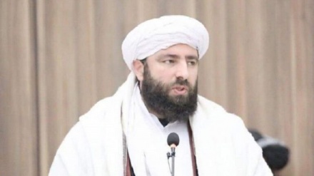 مولوی انصاری: گردن مخالفان حکومت طالبان باید زده شود