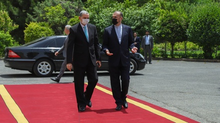 Pertemuan Menlu Iran dengan Menteri Dalam Negeri Irak