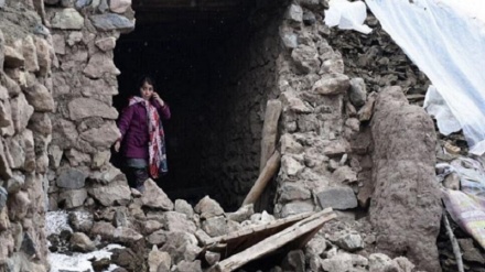 طالبان ۱۰۰ میلیون افغانی برای رسیدگی به زلزله زدگان اختصاص داد