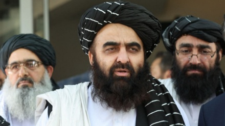 ِDelegasi Taliban Afghanistan Berunding dengan AS di Qatar