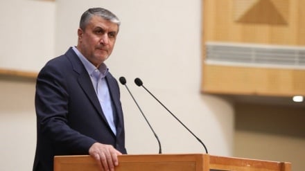 איסלאמי: אין תוכנית לביקור של ראש הסבא