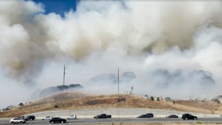 Kebakaran Hutan di California Utara