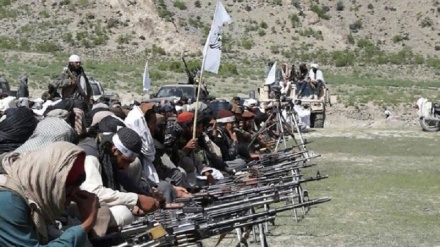  منابع محلی: طالبان ۱۲ تن را در بغلان تیرباران کرده‌اند