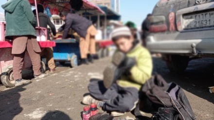 اشغالگری و جنگ، کودکان افغان را از مدرسه به کار کشاند
